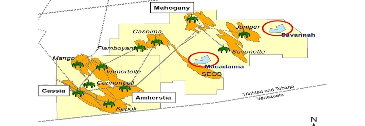 BP Trinidad and Tobago (BPTT) gas discovery