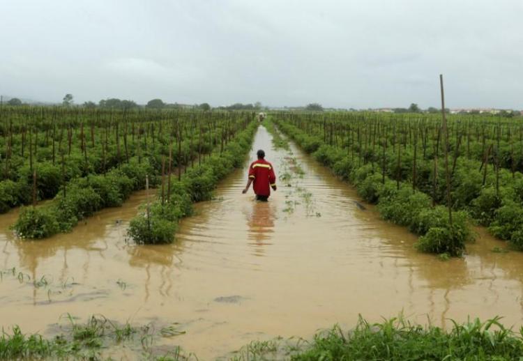 Flooding in Trinidad and Tobago - Tropical Storm Bret