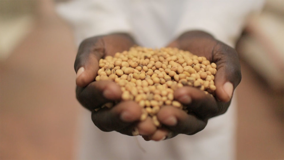 fortify grain and improve health outcomes in Africa by reducing malnutrition