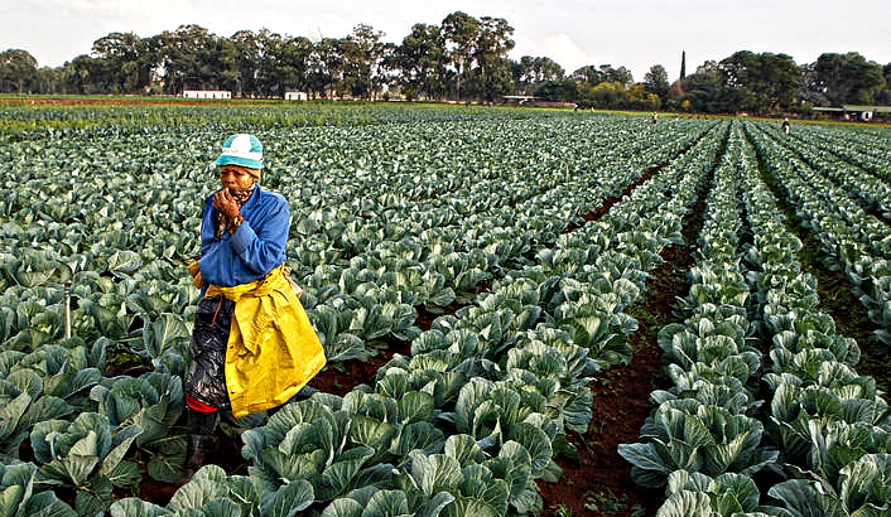 Land reforms in South Africa and Namibia