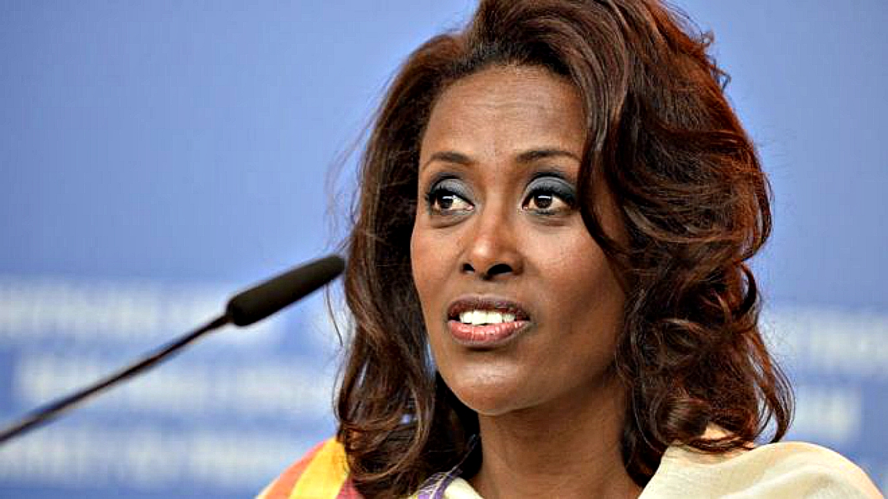 Ethiopia names Meaza Ashenafi its first female supreme court president