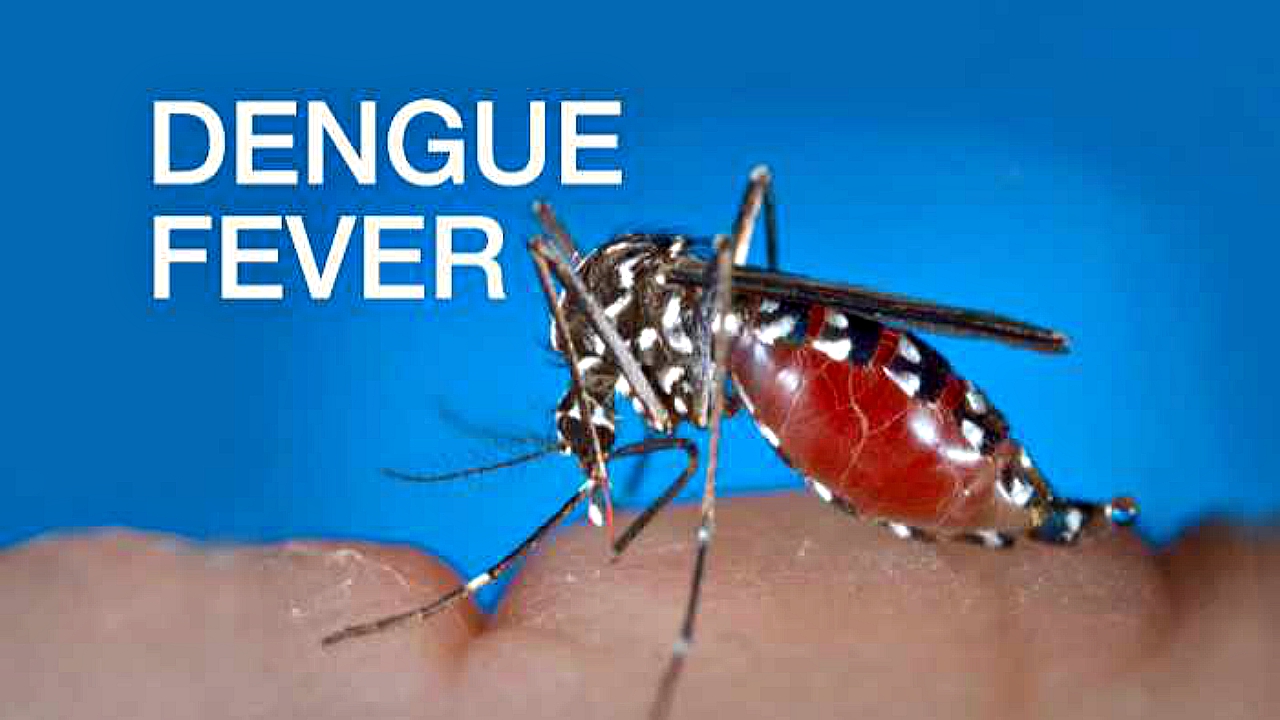 dengue
