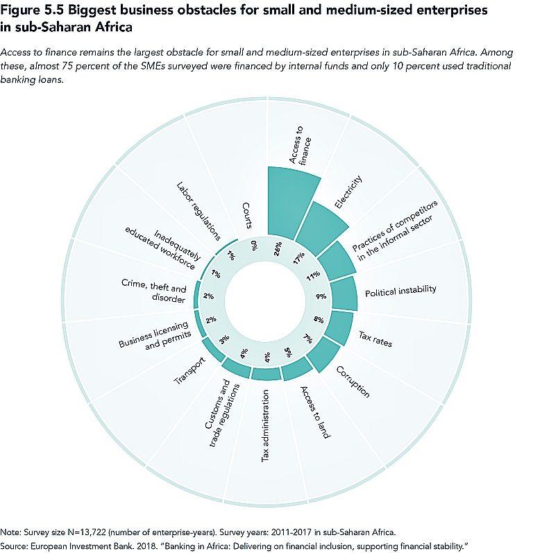 Biggest business obstacles for small and medium-sized enterprises in sub-Saharan Africa