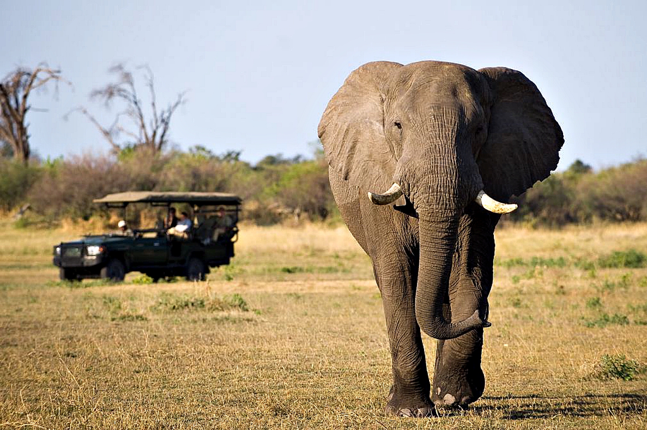 Tourism, one of the primary drivers of economic growth and job creation in emerging economies - including Africa.