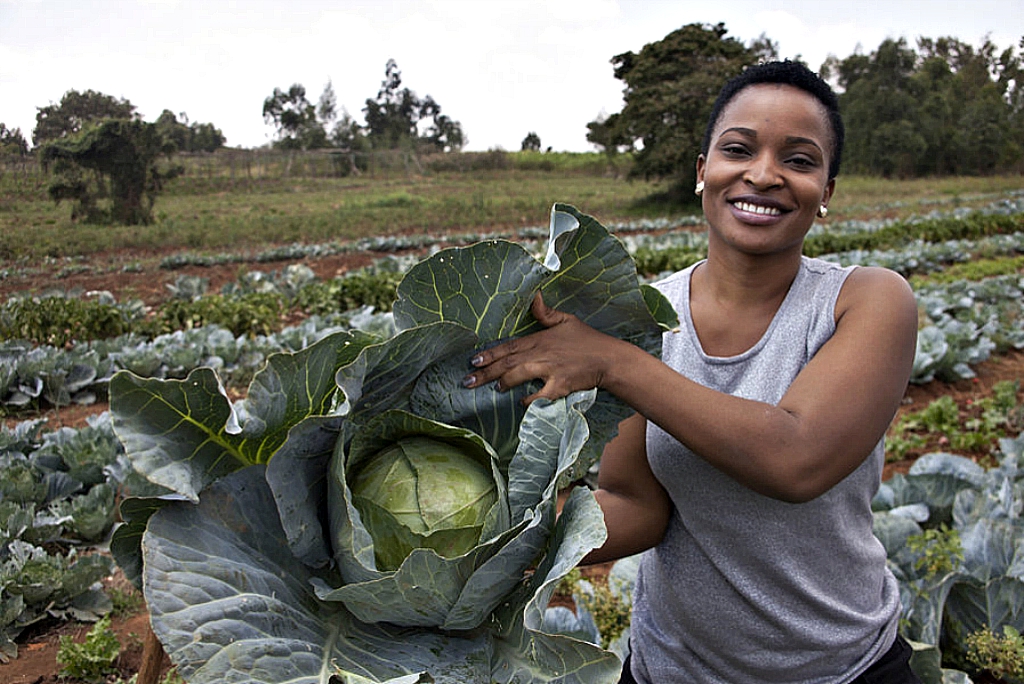 Kenya plans to boost agriculture output 6 percent annually over 5 years