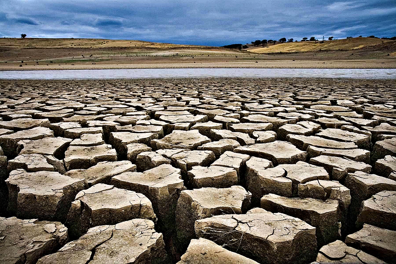 Barbados agriculture impacted by severe drought