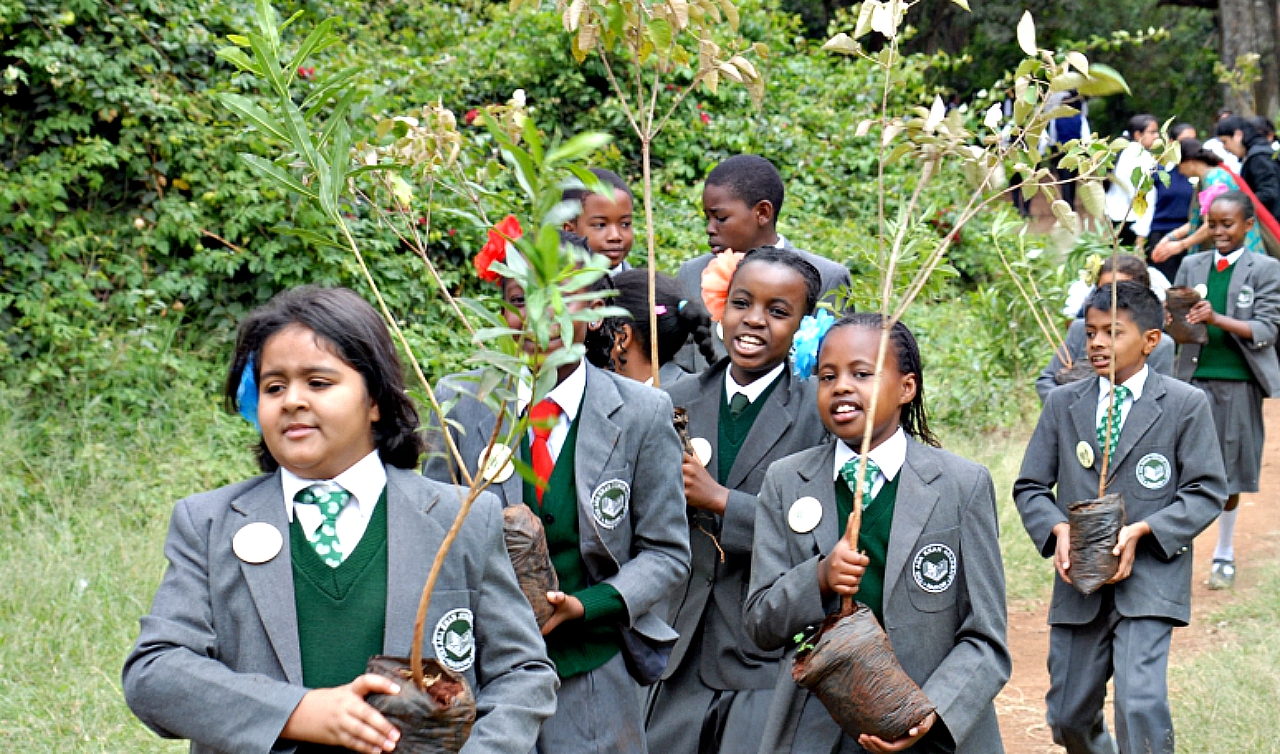 Kenya to plant 2 billion tree seedlings by 2022 to increase forest cover
