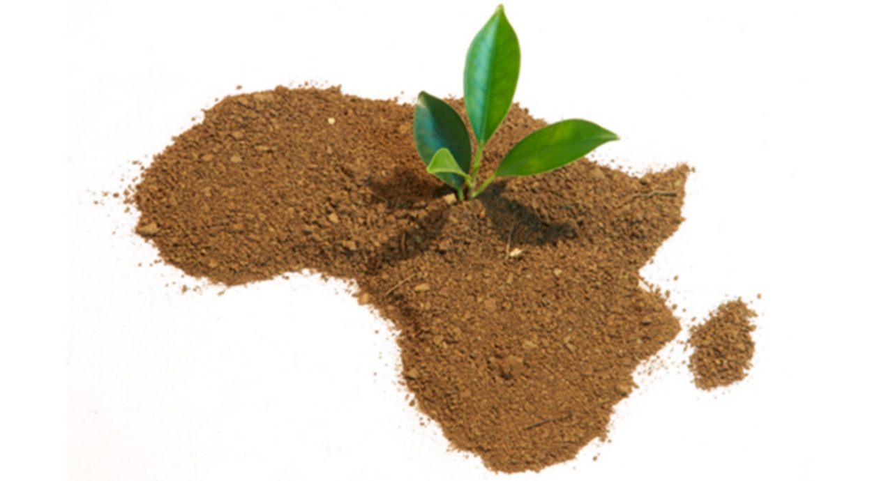 Africa’s brand of entrepreneurship
