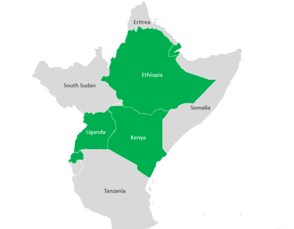 The countdown to implementing the African Continental Free Trade Area in East Africa