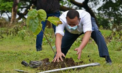 Ethiopia's Abiy kicks off massive tree-planting drive