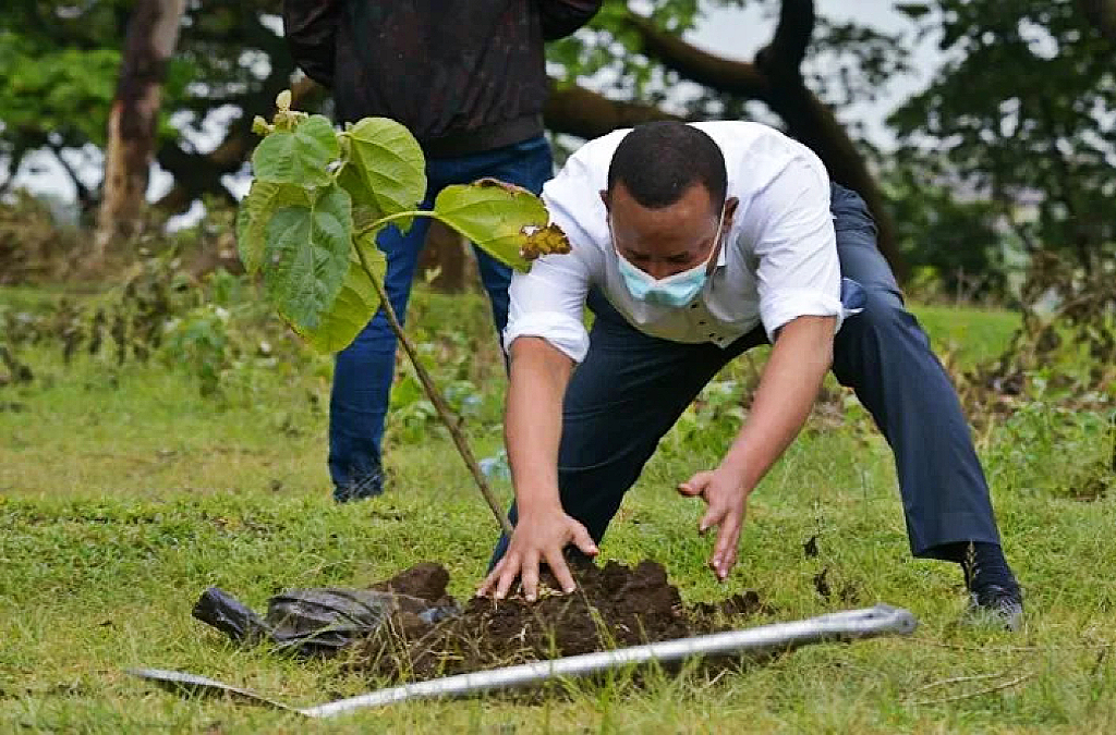 Ethiopia's Abiy kicks off massive tree-planting drive
