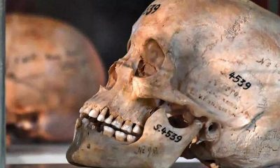 Germany admits to committing genocide in colonial-era Namibia