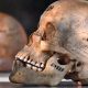 Germany admits to committing genocide in colonial-era Namibia