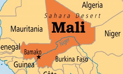 West Africa leaders suspend Mali from region bloc over coup