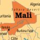 West Africa leaders suspend Mali from region bloc over coup