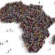 Africa’s "Model T" Business Model
