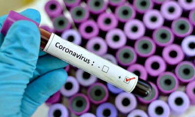 South Africa sees 'Sustained Downward Trend' in COVID-19 cases