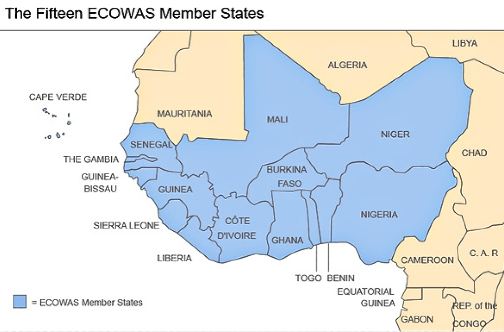 ECOWAS resorts to sanctions over Guinea and Mali coups