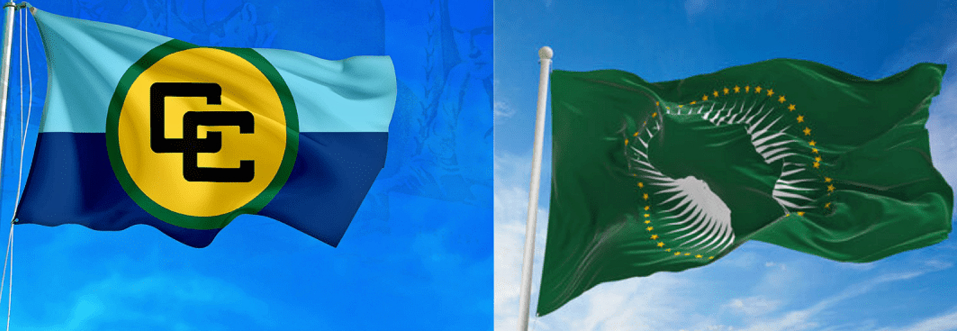 African and Caribbean nations press ahead with new partnership