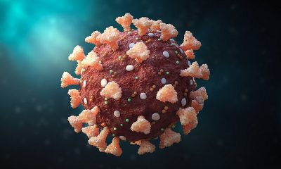 Omicron-fueled COVID-19 surge in Africa plateaus