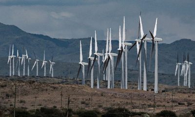Africa looks to renewables to curb warming, boost economies