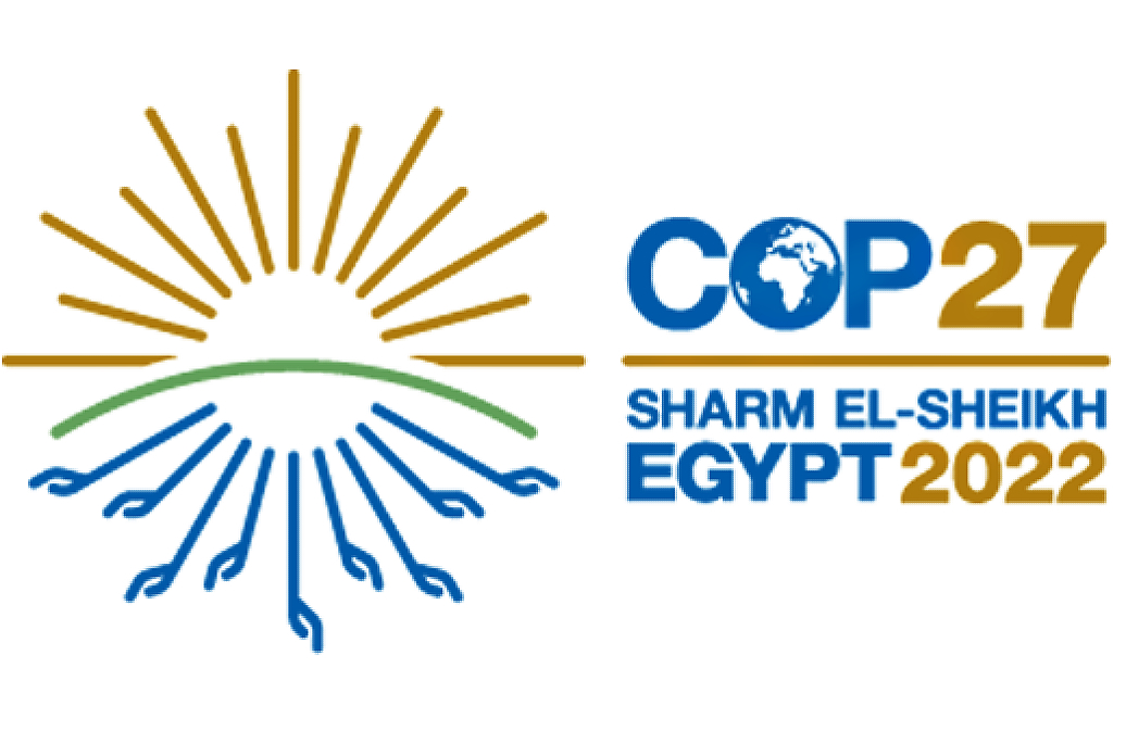 African countries to push for more fossil fuel projects at COP27