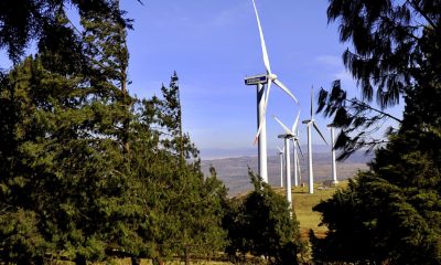 COP27: Why "Africa’s COP" is crucial, but doesn’t guarantee strong African outcomes