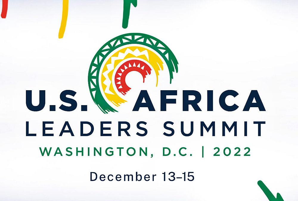 Was the US-Africa leaders summit successful?