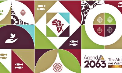 Agenda 2063 moving forward if unevenly