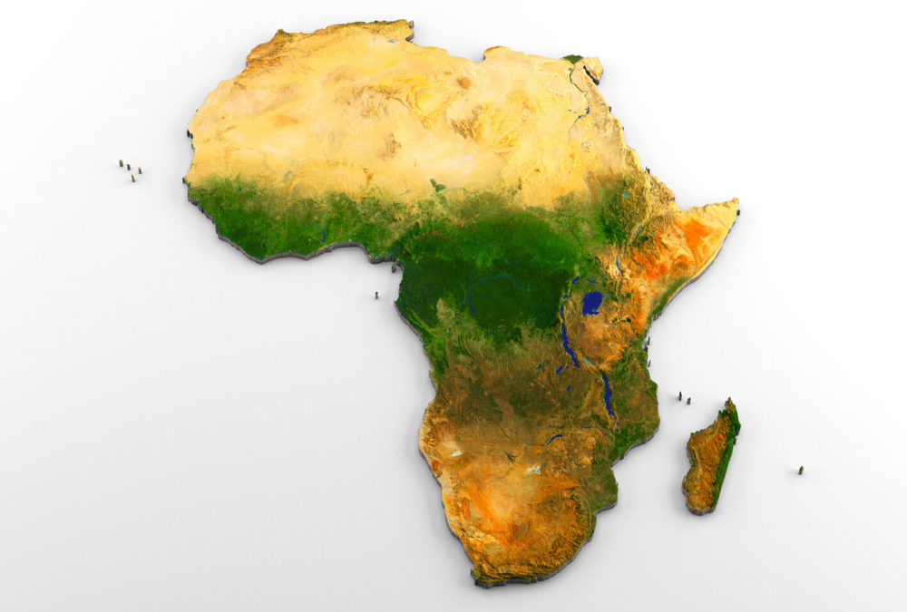 Africa Buffeted by International Issues