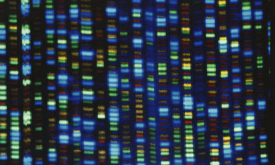 HBCUs behind effort to study the genetic variants that affect people of African ancestry