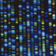 HBCUs behind effort to study the genetic variants that affect people of African ancestry