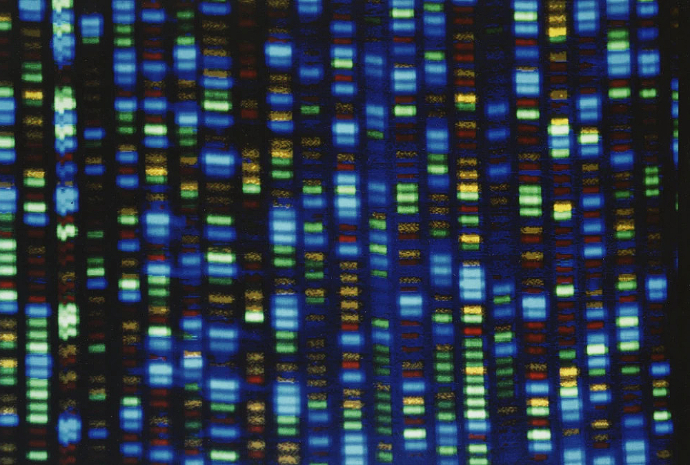 HBCUs behind effort to study the genetic variants that affect people of African ancestry