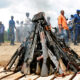 African Conflicts Are Neglected