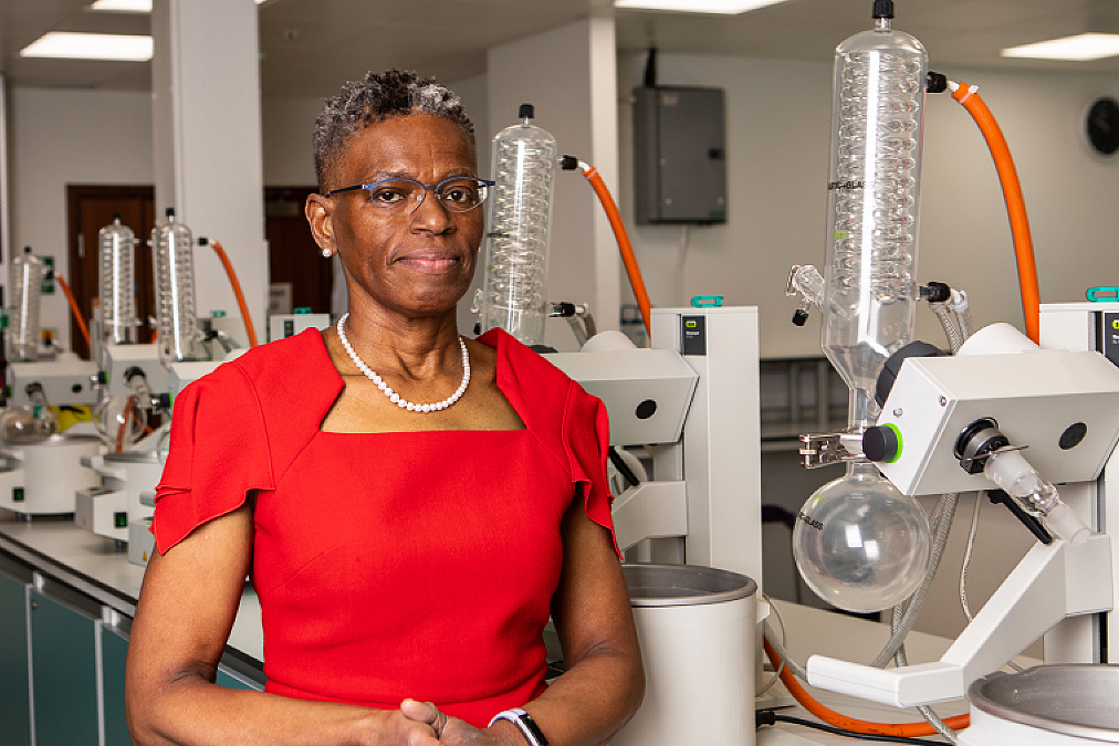Ijeoma Uchegbu, a ground-breaking nanoscientist elected as President of the Wolfson College, Cambridge University