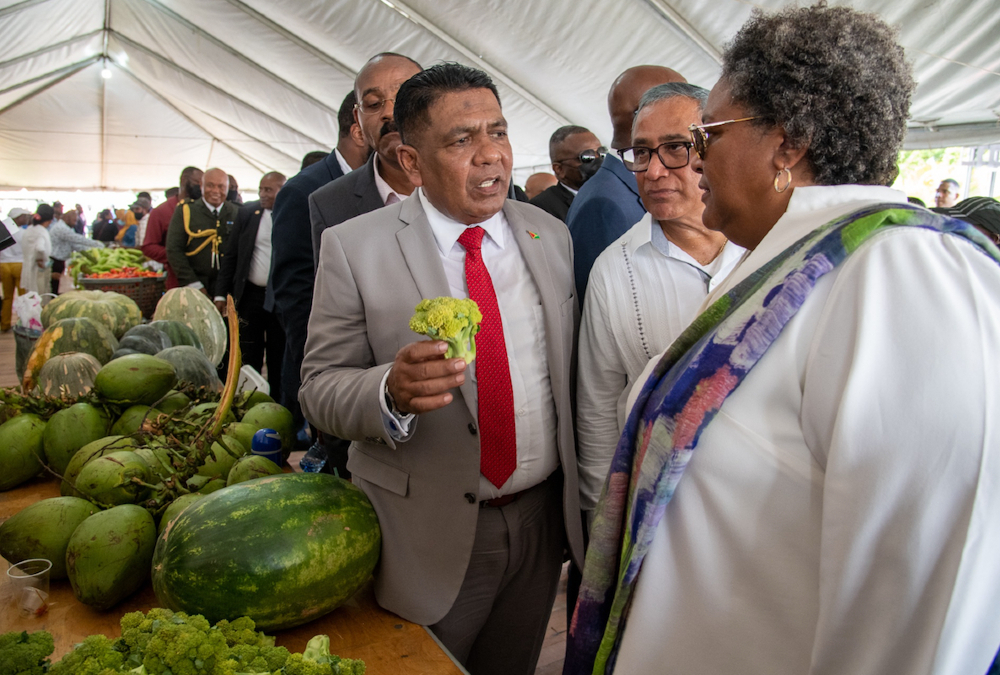 Strengthening Caribbean Food Security: The Role of the Barbados-Guyana food terminal
