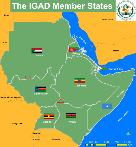Owusu on Africa: Why Sudan's withdrawal from IGAD should be reconsidered
