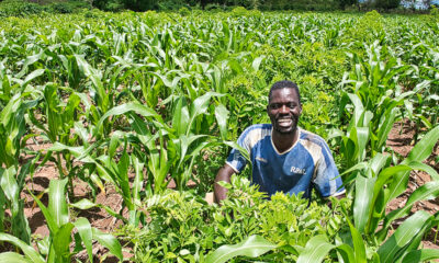 Owusu on Africa: At the heart of stability in Africa is sustainable agriculture