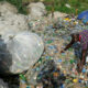 Nigeria’s plastic ban: why it’s good and how it can work