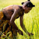 Owusu on Africa: Why empowering women is fundamental to ensuring food security in Africa