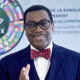 Who's poised to succeed Akinwumi Adesina as president of the AfDB?