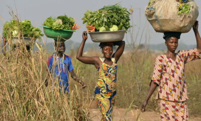 Women in Africa and the terror threat