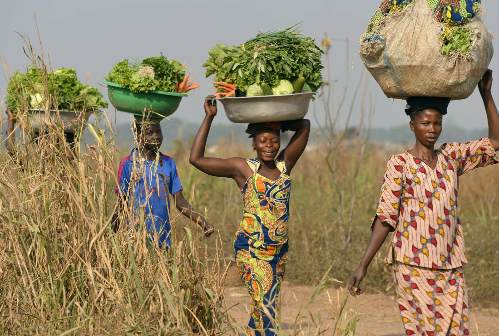 Women in Africa and the terror threat