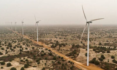 Africa does not have a choice between economic growth and protecting the environment: how they can go hand in hand