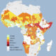 Owusu on Africa: Nigeria's food security crisis and Russia's grain deal - what has changed?