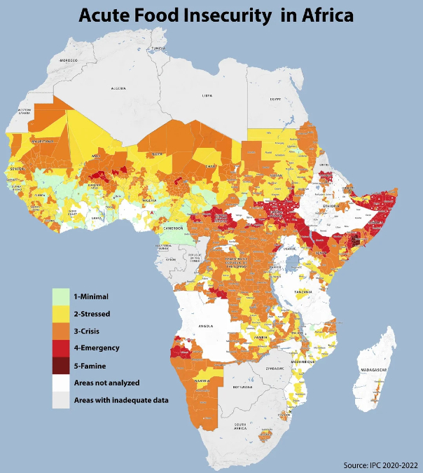 Owusu on Africa: Nigeria's food security crisis and Russia's grain deal - what has changed?