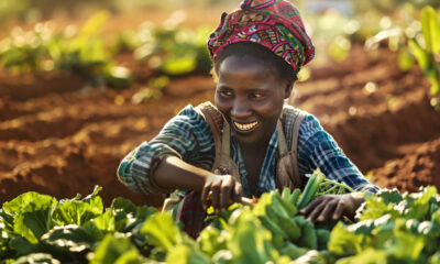 Five ways that free trade can boost sustainable agriculture in Africa