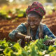 Five ways that free trade can boost sustainable agriculture in Africa