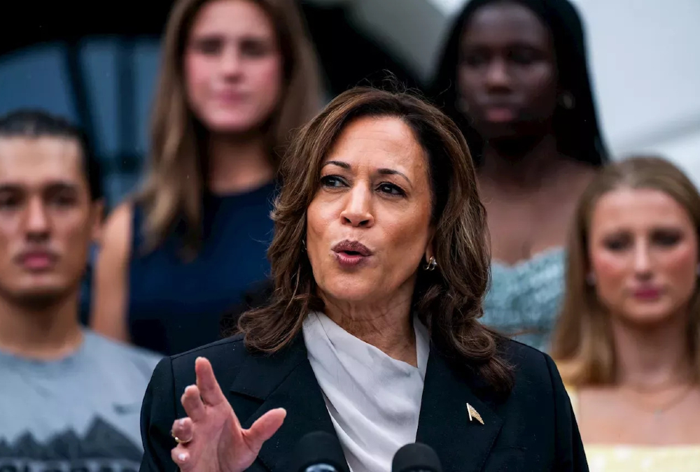 Black voters feel excitement, hope, worry as Harris takes centre stage in campaign