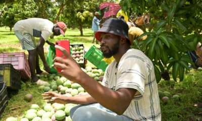 Senegal 'Agri-influencers' seek to shake up key sector